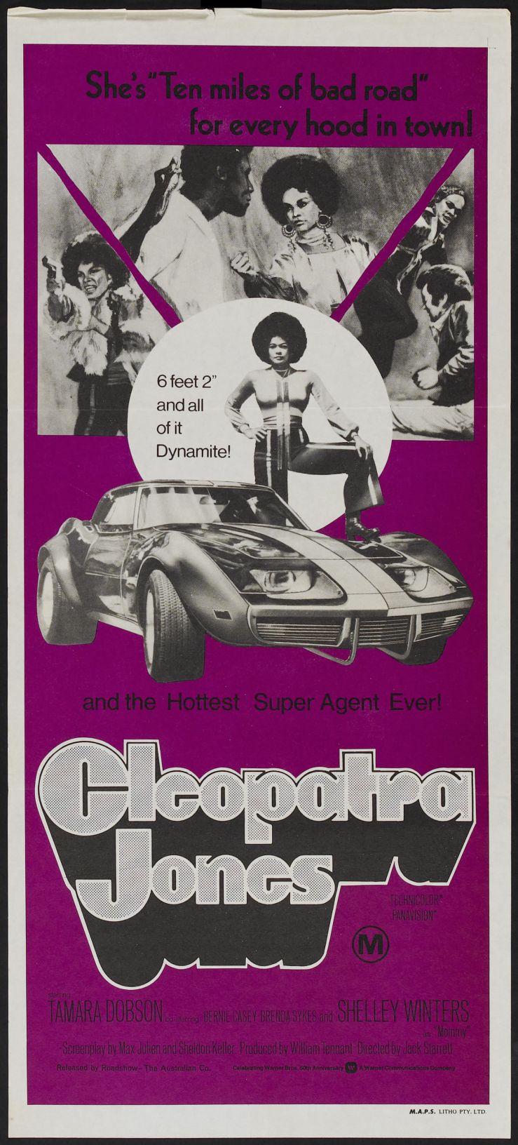 Cleopatra Jones poster 6