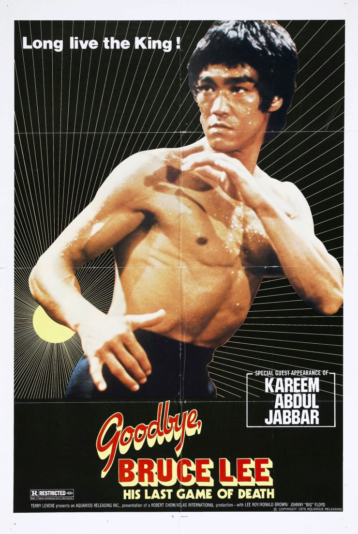 Goodbye Bruce Lee poster 2