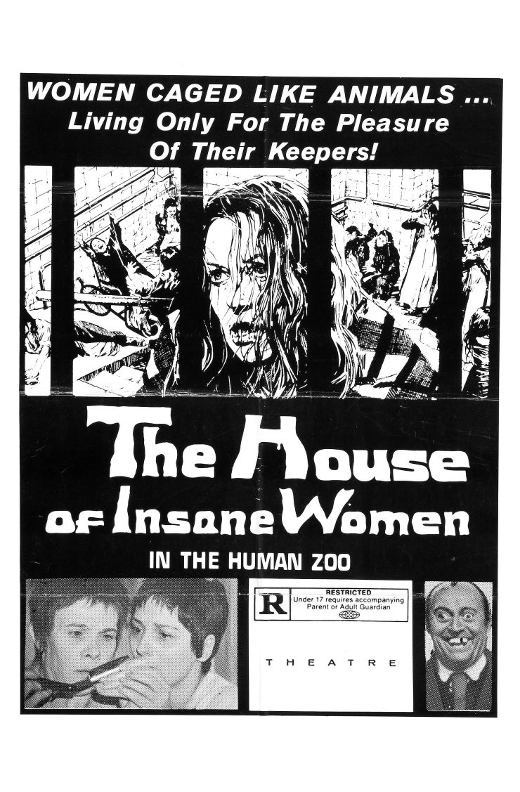House Of Insane Women poster 3