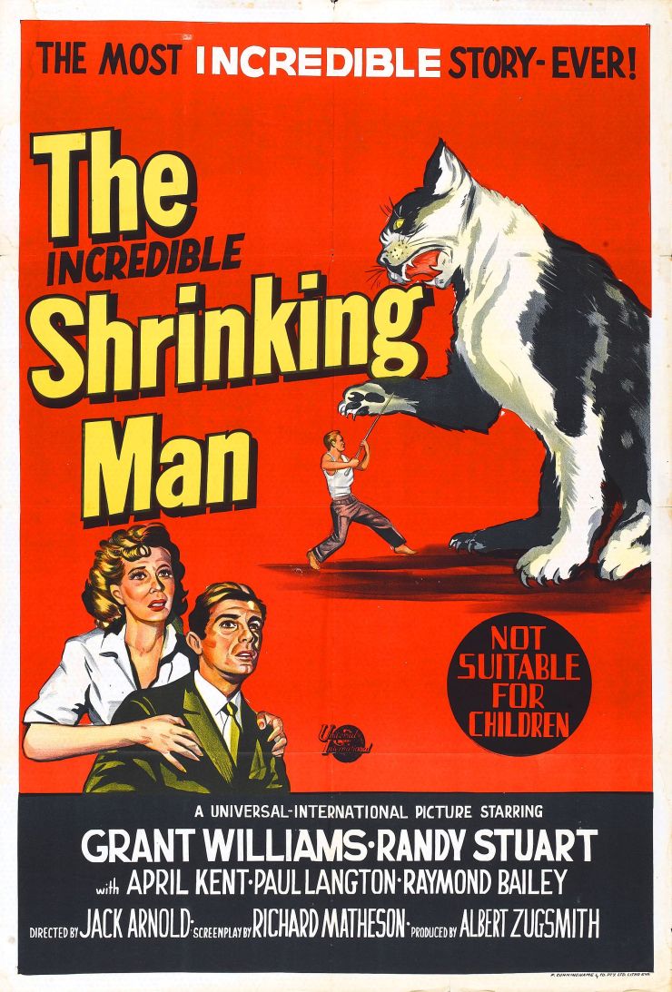 Incredible Shrinking Man poster 5