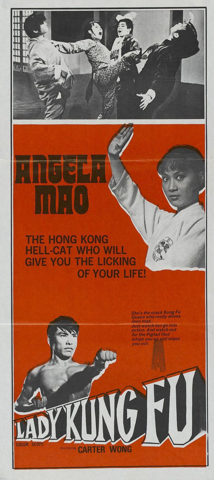 Lady Kung Fu poster 2