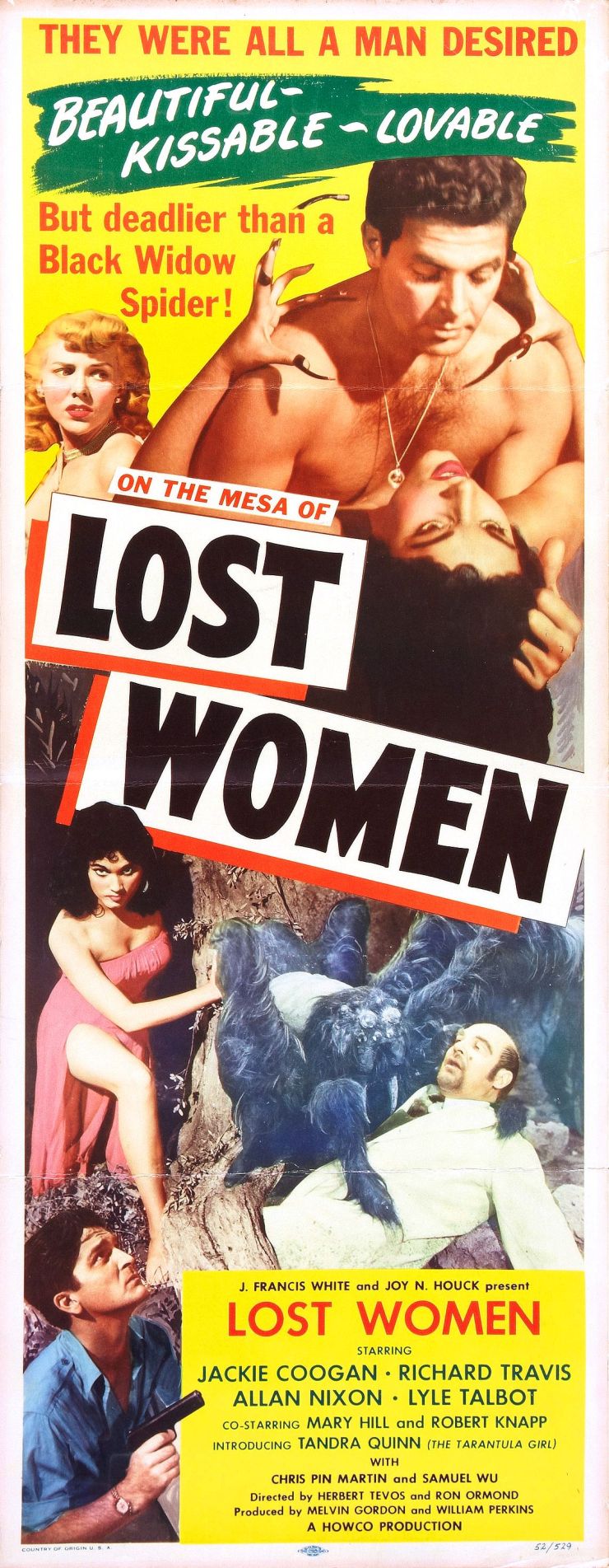 Mesa Of Lost Women poster 2